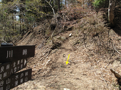 20140502hike (228)